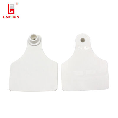 Long Lasting Cattle Ear Tags with Anti Oxidation and Corrosion Resistant Features Ideal for Various Farming Environments
