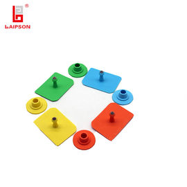 Swine Yellow Livestock 52*38mm Pig Ear Tags